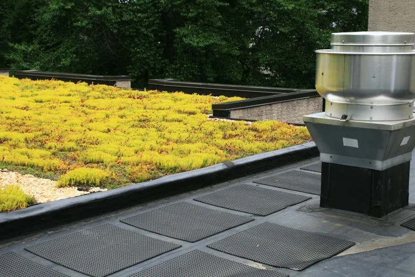 World Greenroof Day