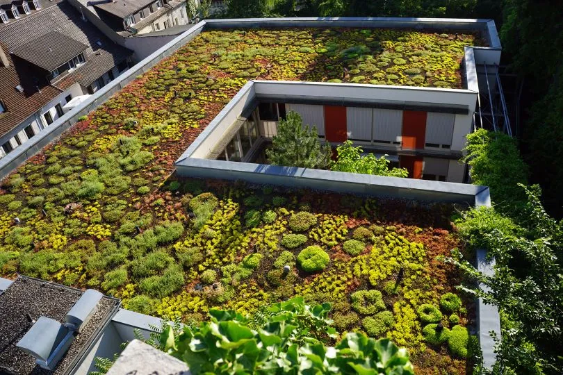 World Greenroof Day