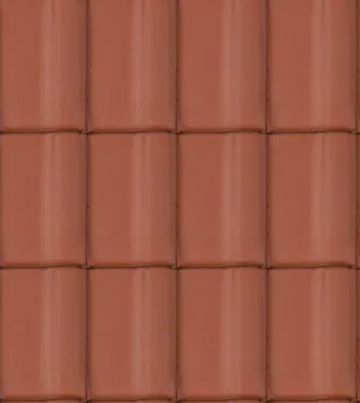 Rubin 9V rouge naturel finition naturelle